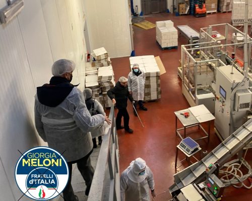 WhatsApp Image 2023-01-23 at 16.38.26 (4)