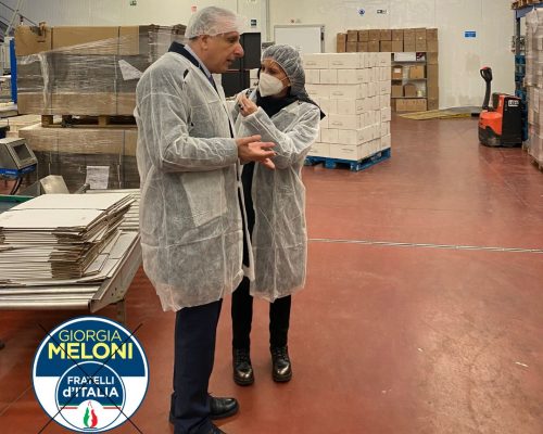 WhatsApp Image 2023-01-23 at 16.38.26 (5)