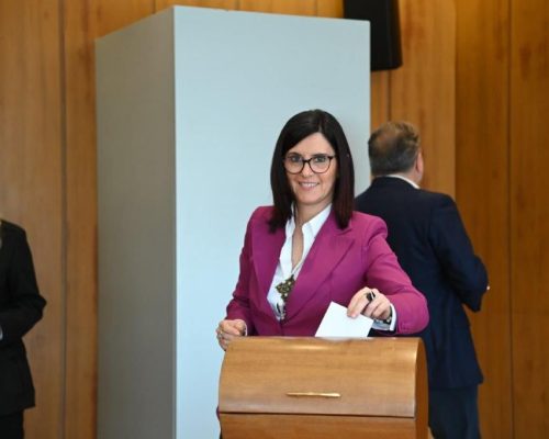 WhatsApp Image 2023-03-30 at 15.44.03