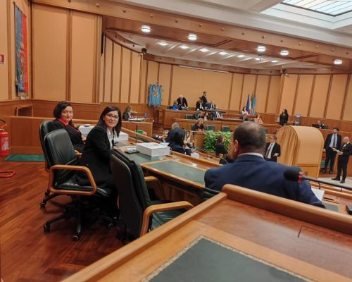 WhatsApp Image 2023-03-30 at 15.51.39 (10)